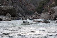 Interesting Rapids