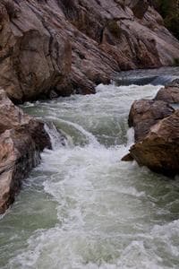 Binocular: middle and  entrance drops