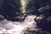 State Park Rapid