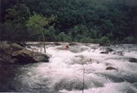 First Rapid, Drys
