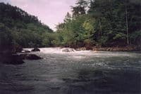 2nd Rapid on the Drys