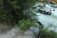 Trail to Irish Railroad