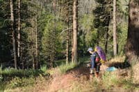 Pine Flats Access