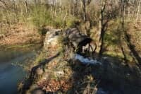 Remnants of Infrastructure at Boze Mill