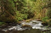 River View Below Gold Creek With Wood Hazard