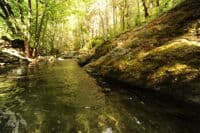 Whiskey Creek