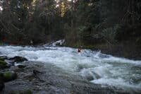 Boris on the Sol Duc