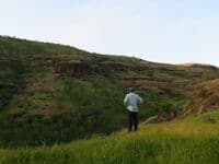Looking into Cameron Creek