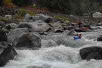 Rapid on Lobin