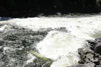 Lochsa Falls