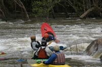 Third Rapid