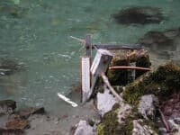 USGS Gage Station12054000