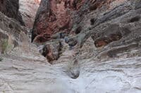 Nautiloid Canyon