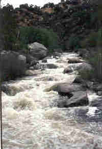 Lower Dinkey Creek