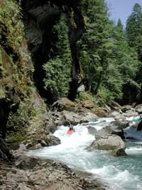 Ohane Rapid