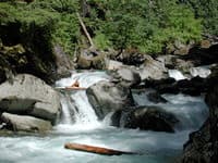 Ohane Rapid