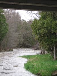 Looking downstream from Nachtwey Ledge ('falls')