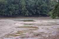 Eddies below Hindostan Falls