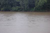 Hindostan Falls at 8500 cfs, close up