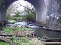 Defunct Railroad Trestle