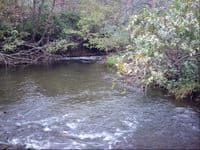 Downstream of Defunct Railroad Stonework+Timbers