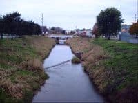 Weirs and Cement caps in channelized section