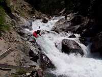Pine Tree Falls