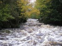 upper Dells
