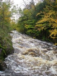 lower dells