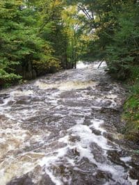 lower dells