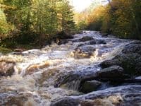 2nd rapid