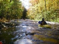 The majority of the river