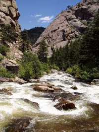 California Section