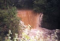 Dam on Massies Creek