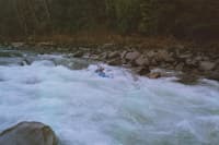 Powerline Rapid