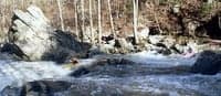 (RM) Rock Cruncher