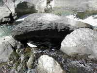 Mettowee River seive
