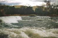 Alta Weir Wave
