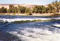Alta Weir Wave - Low Water