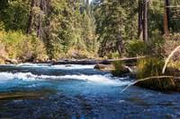 Log below Big Springs