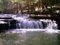 Suck Creek - Little Bluestone tributary