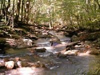 Suck Creek