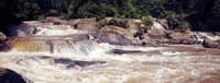 (RM) Grindle Falls - View From River Right