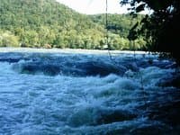 Brooks Falls river left line