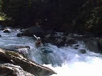 Ledge Drop