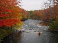 Fall on the Winni