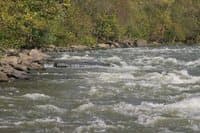 Silos rapid