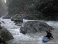 Sultan Rapid