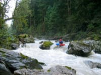 Sultan Rapid