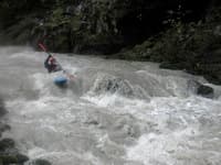 Sultan rapid